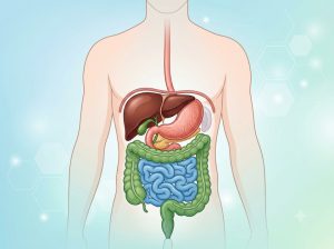 لاپاراسکوپی کیسه صفرا چیست